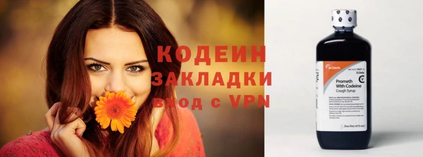 дурь Алзамай