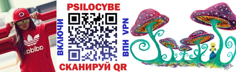 Галлюциногенные грибы Psilocybine cubensis  дарнет шоп  Чебаркуль 